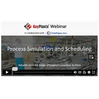 Process Simulation and Scheduling