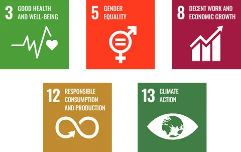 UN Sustainability Goals